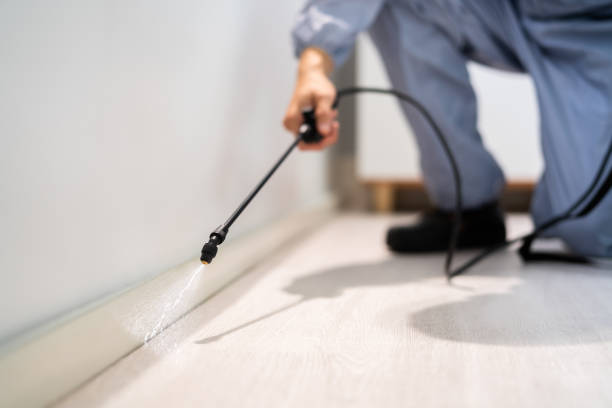 Licensed Pest Control service in Janesville, IA - Show Me Pest Control