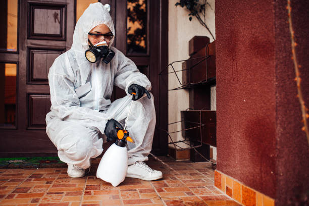 Reliable Wasp Removal contractor in Janesville, IA by Show Me Pest Control